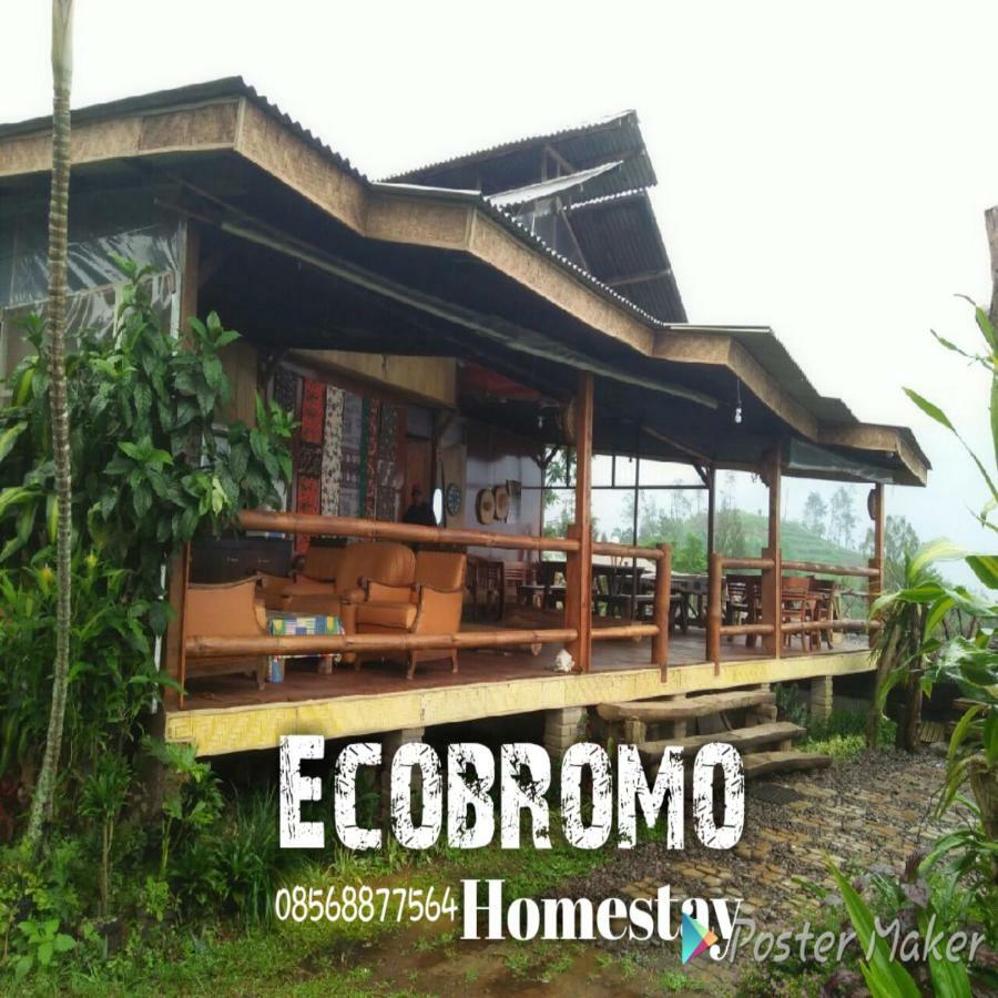 Apartament Ecobromo Pasuruan Zewnętrze zdjęcie